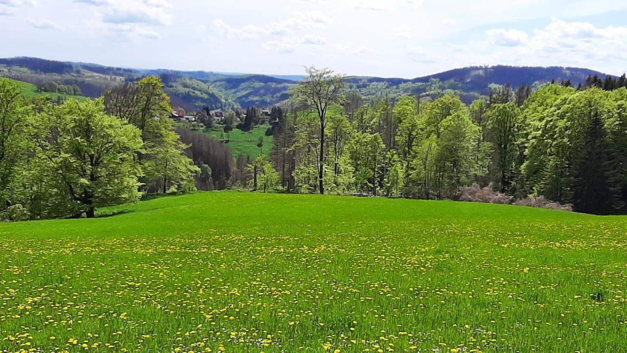 Harz-Huette - Schnuckelig Fewo In St. Andreasberg Sankt Andreasberg Eksteriør billede